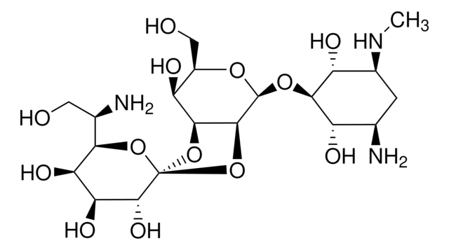 潮霉素 B 溶液 来源于吸水链霉菌 &#8805;60% (HPLC), 45-60&#160;mg/mL in H2O