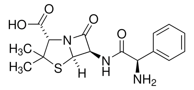 氨苄西林 United States Pharmacopeia (USP) Reference Standard