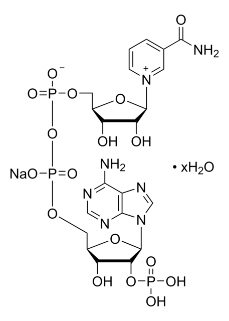 &#946;-烟酰胺腺嘌呤二核苷酸磷酸 水合物