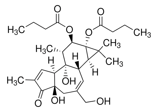 佛波醇 12,13-二丁酸酯 &#8805;98% (TLC), powder