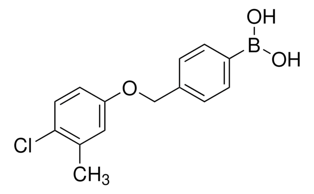 4-[(4-氯-3-甲基苯氧基)甲基]苯硼酸