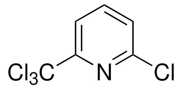 2-氯-6-(三氯甲基)吡啶 &#8805;98%