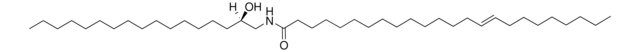 N-C24:1-desoxymethylsphinganine Avanti Polar Lipids 860465P, powder