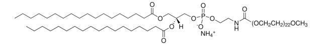 18:0 PEG1000 PE Avanti Polar Lipids 880720C