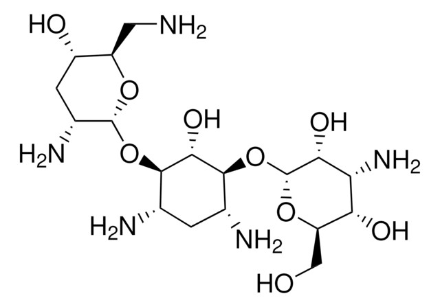 Tobramycin European Pharmacopoeia (EP) Reference Standard