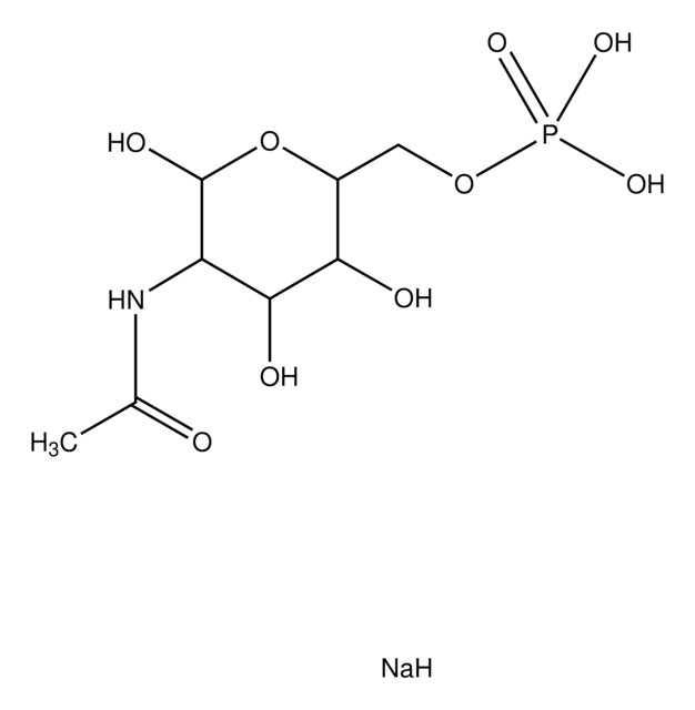 N-乙酰-D-&nbsp;氨基葡萄糖6-磷酸 钠盐 &#8805;98% (TLC)