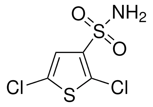 2,5-Dichlorothiophene-3-sulfonamide 97%