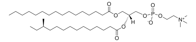 16:0-a15:0 PC Avanti Research&#8482; - A Croda Brand (857503P), powder