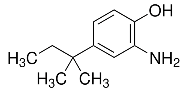 2-氨基-4-叔戊基苯酚 97%