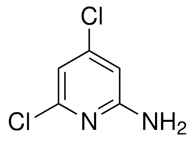 2-amino-4,6-dichloropyridine AldrichCPR