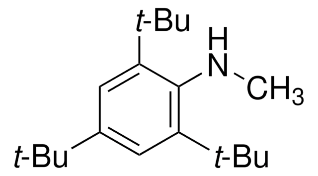 2,4,6-Tri-tert-butyl-N-methylaniline 95%