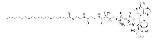 18:0 Coenzyme A Avanti Polar Lipids 870718P, powder