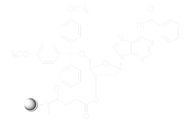 DMT-dA (bz)-CPG pore size 1000&#160;Å, 25-35&#956;mol/g