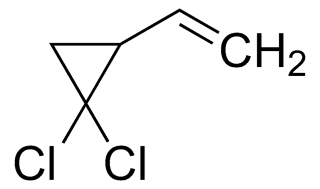 1,1-Dichloro-2-vinylcyclopropane 95%