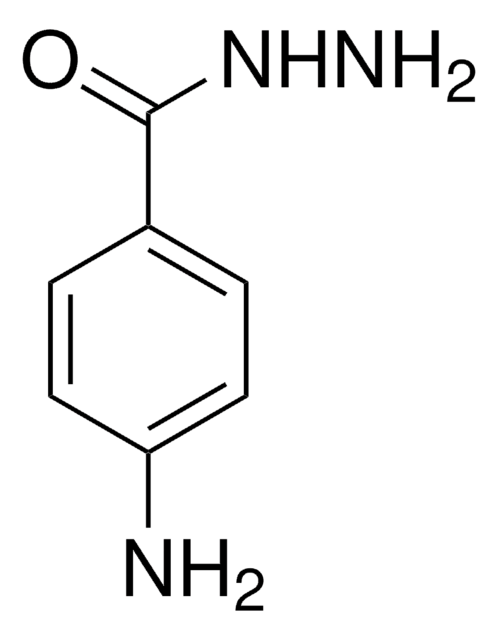 4-氨基苯甲酰肼 95%