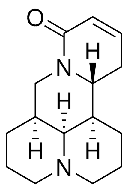 槐果碱 &#8805;95% (HPLC)