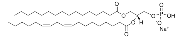 Soy PA Avanti Polar Lipids 840074P, powder