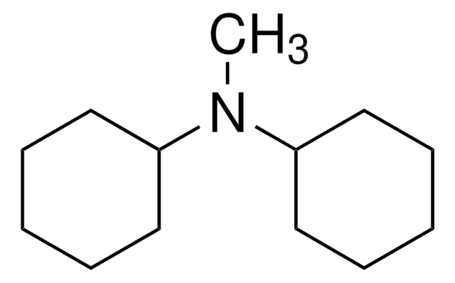 N,N-二环己基甲胺 97%