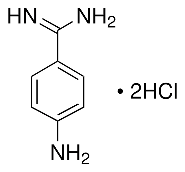 4-氨基联苯胺 二盐酸盐 BioReagent, suitable for fluorescence, &#8805;99.0% (TLC)