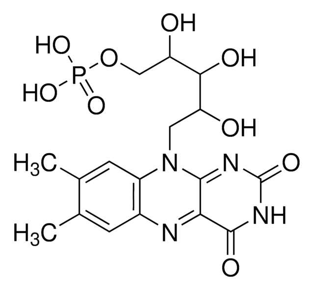 黄素单核苷酸