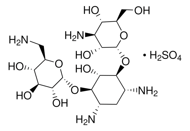 Kanamycin Sulfate, Streptomyces kanamyceticus, Cell Culture-Tested An aminoglycoside antibiotic effective against Gram-positive and Gram-negative organisms. Inhibitor of protein biosynthesis that acts on the 30S ribosome, causing misreading of the genetic code.