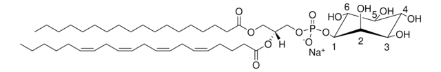 肝 PI Avanti Polar Lipids