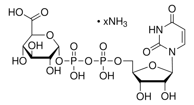 尿苷-5′-二磷酸葡糖醛酸 铵盐 98-100%