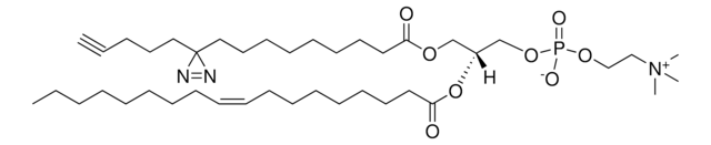 pacFA-18:1 PC Avanti Research&#8482; - A Croda Brand 900408P, powder