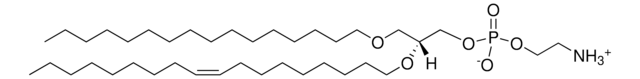 16:0-18:1 Diether PE Avanti Polar Lipids 999974P, powder