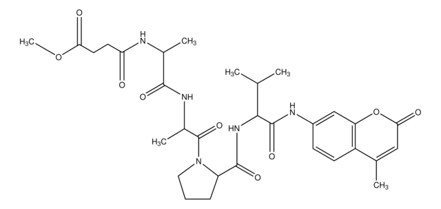 N-Methoxysuccinyl-Ala-Ala-Pro-Val-7-amido-4-methylcoumarin elastase substrate