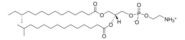 a15:0-i15:0 PE Avanti Polar Lipids