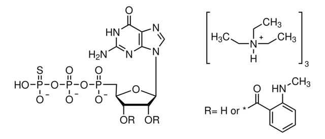 2&#8242;/3&#8242;-O-(N-Methylanthraniloyl)guanosine-5&#8242;-(&#947;-thio)triphosphate triethylammonium salt solution &#8805;90% (HPLC), aqueous solution