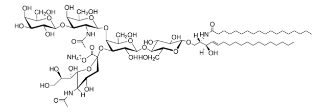 Ganglioside GM1 (Ovine Brain) Avanti Polar Lipids