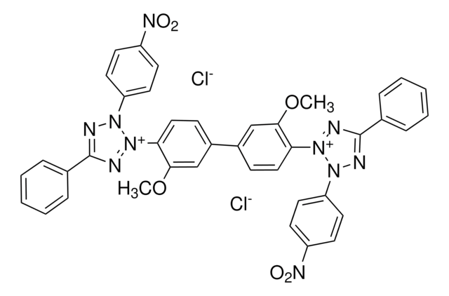 氯化四唑氮蓝 powder, electrophoresis grade