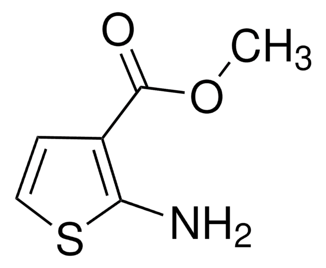 2-氨基噻吩-3-羧酸甲酯 97%