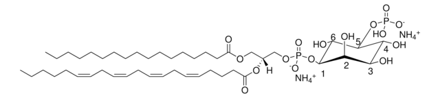 17:0-20:4pi (5) P Avanti Polar Lipids LM1902, powder