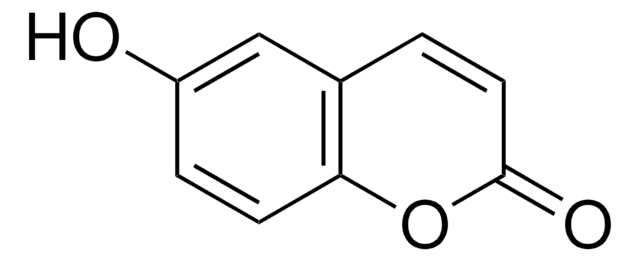 6-羟基香豆素 96%