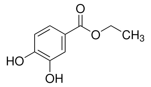 原儿茶酸乙酯 97%