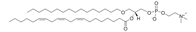 C16-20:3 PC Avanti Polar Lipids 878122P, powder