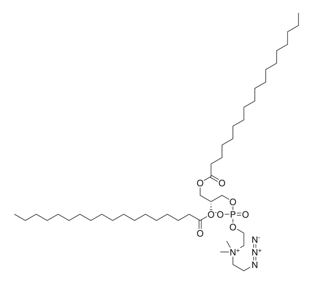 18:0 azidoethyl PC powder, Avanti Polar Lipids