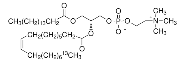 2-Oleoyl-18-13C-1-palmitoyl-sn-glycero-3-phosphocholine 97 atom % 13C, 97% (CP)