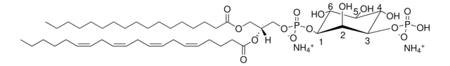 17:0-20:4pi (3) P Avanti Polar Lipids LM1900, powder