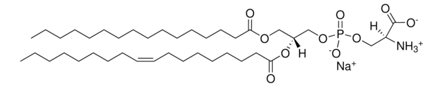 16:0-18:1 PS (POPS) Avanti Polar Lipids