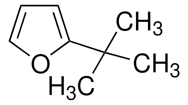 2-tert-Butylfuran 97%