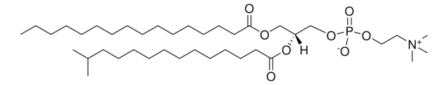 16:0-i15:0 PC Avanti Polar Lipids (857504P), powder