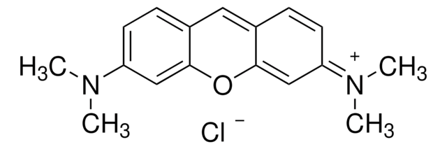 Pyronin Y for NA electrophoresis