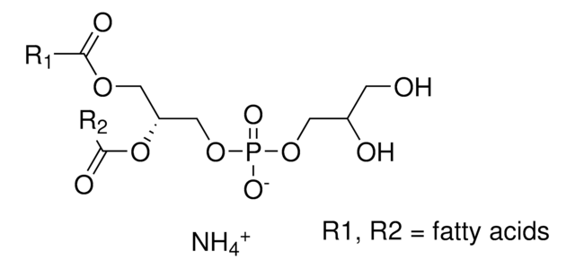 L-&#945;-Phosphatidyl-DL-glycerol ammonium salt from egg yolk lecithin solution, 10&#160;mg/mL in chloroform: methanol (49:1), &#8805;99%