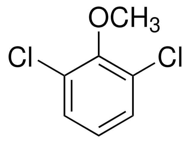 2,6-二氯苯甲醚 97%