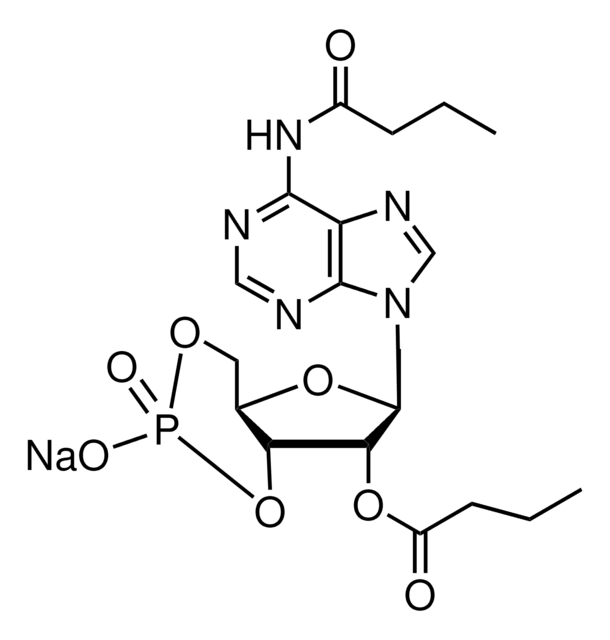 N6,2&#8242;-O-Dibutyryladenosine 3&#8242;,5&#8242;-cyclic monophosphate sodium salt &#8805;97% (HPLC), powder