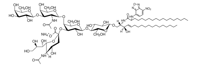 C18:0(2-NBD) GM1 Avanti Research&#8482; - A Croda Brand